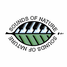 проект о звуках природы