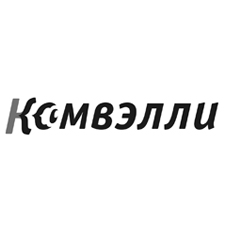 видеокоммуникационная компания