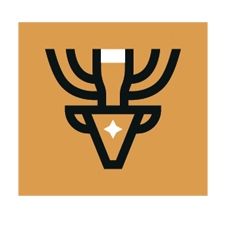 паб deer beer 