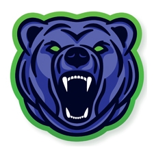 хоккейный клуб grizzly