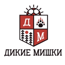 футбольный клуб