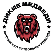 футбольная команда