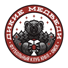 футбольный клуб
