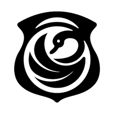 сыровар ирина лебедева