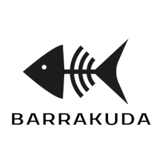 скоростной wi-fi