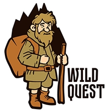 экстрим-туры