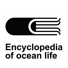 энциклопедия океана