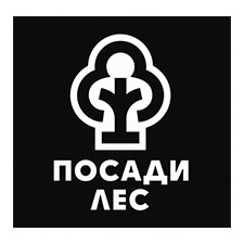 восстановление лесов