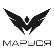 гоночная команда