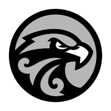 хоккейный клуб saryarka