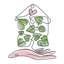 фитостудия