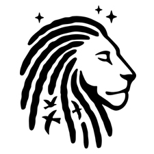 африканские косички