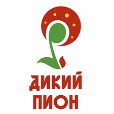 славянский фестиваль