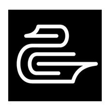 книжный магазин swan